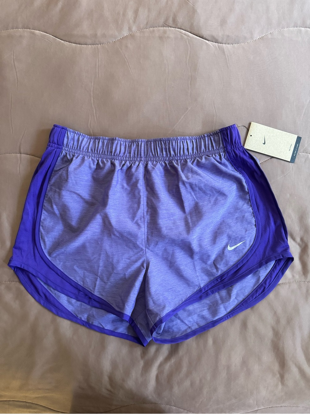 Nike Women's Heathered Lavender and Royal Purple Athletic Shorts